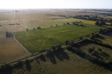 Soya fasulyeleriyle dolu bir torba, La Pampa Eyaleti, Patagonya, Arjantin.