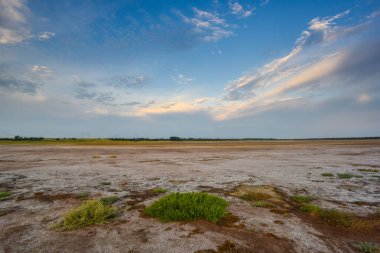 La Pampa, Patagonya, Arjantin 'de yarı çöl bir çevrede bir lagünün zemininde güherçile var..