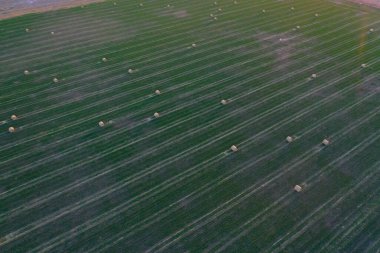 Çimen balyası, La Pampa kırsalında ot deposu, Patagonya, Arjantin.