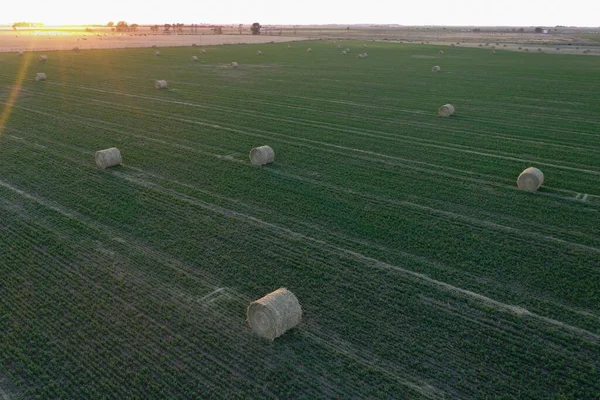 Bale Trawiaste Przechowywanie Trawy Wsi Pampa Patagonia Argentyna — Zdjęcie stockowe