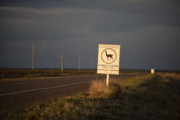 Animal crossing warning sign, Route in the Pampas plain, Patagonia, Argentina