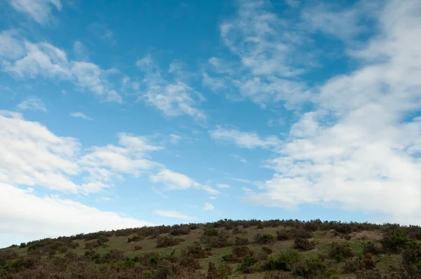 Пейзаж Патагонии Провинция Чубут Патагония Аргентина — стоковое фото