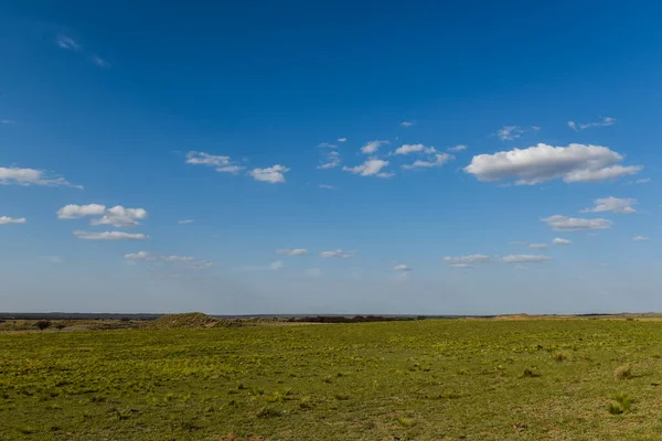 パンパ草の風景 パンパ州 パタゴニア アルゼンチン — ストック写真