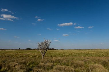 Pampas Kırsal Arazi, La Pampa Eyaleti, Patagonya, Arjantin.