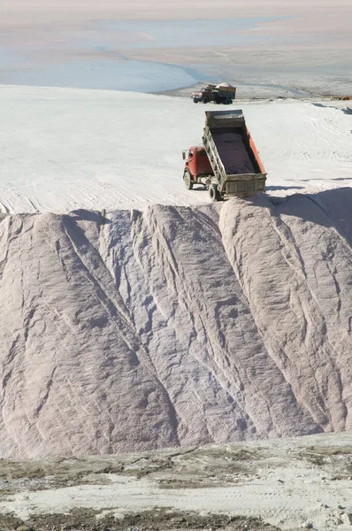 トラックは 生の塩バルク サリナス グランデ ヒダルゴ ラパンパ アルゼンチンをアンロード — ストック写真