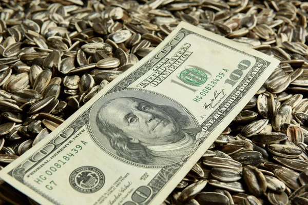 Dollars Banknotes Sunflower Seeds Oleaginous Commodity Value Concept — Stock Photo, Image