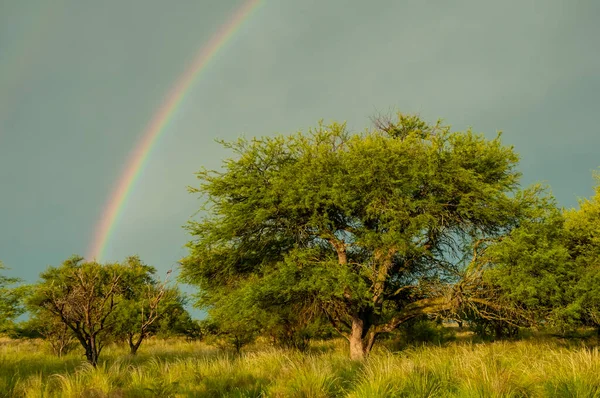 阿根廷布宜诺斯艾利斯省农村景观与彩虹 — 图库照片