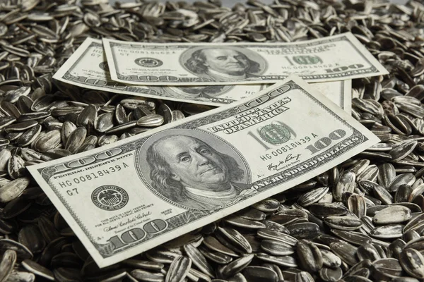 Dollars Banknotes Sunflower Seeds Oleaginous Commodity Value Concept — Stock Photo, Image