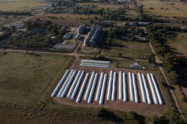 Soya fasulyeleriyle dolu bir torba, La Pampa Eyaleti, Patagonya, Arjantin.