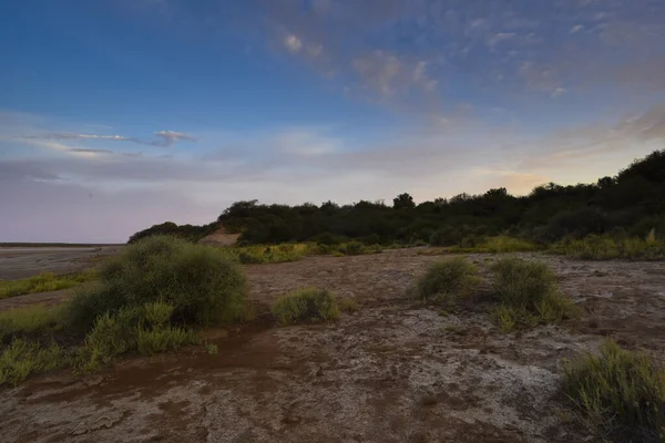 Desert Environment Pampa Province Patagonia Argentina — 图库照片