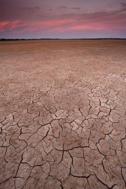 Cracked earth, desertification process, La Pampa Province, Patag