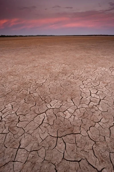 Cracked Earth Desertification Process Pampa Province Patag — 스톡 사진