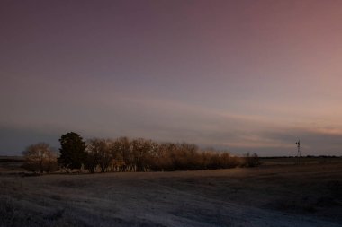 Pampas Ovası, La Pampa Eyaleti, Patagonya, Arjantin.