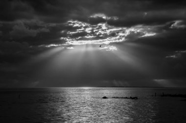 Ansenuza National Park, Cordoba Province, Argentina.