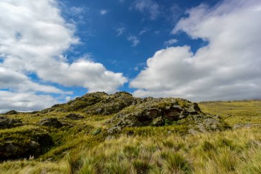 Quebrada del Condorito  National Park,Cordoba province, Argentin