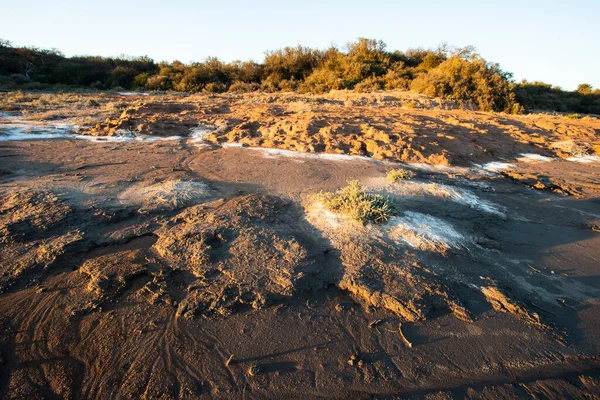 Semi Desert Environment Landcape Pampa Province Patagonia Argentina — Fotografia de Stock