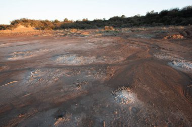 Semi desert environment landcape, La Pampa province, Patagonia, Argentina.