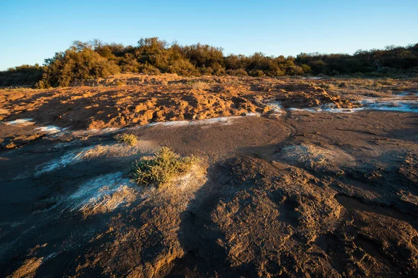 Semi Desert Environment Landcape Pampa Province Patagonia Argentina — Stockfoto