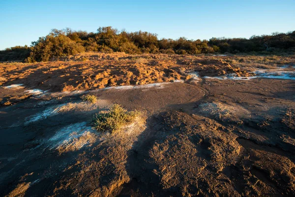 Semi Desert Environment Landcape Pampa Province Patagonia Argentina — Stok fotoğraf