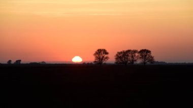 Kırsal günbatımı manzarası, Buenos Aires ili, Arjantin