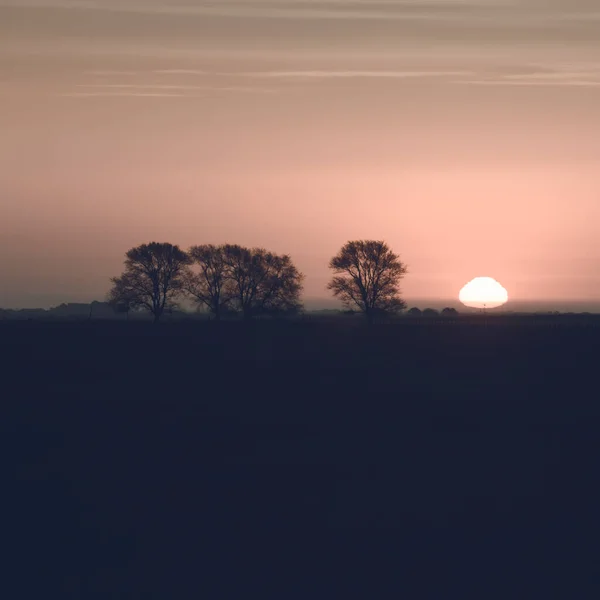 Ländliche Sonnenuntergangslandschaft Provinz Buenos Aires Argentinien — Stockfoto