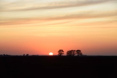 Kırsal günbatımı manzarası, Buenos Aires ili, Arjantin