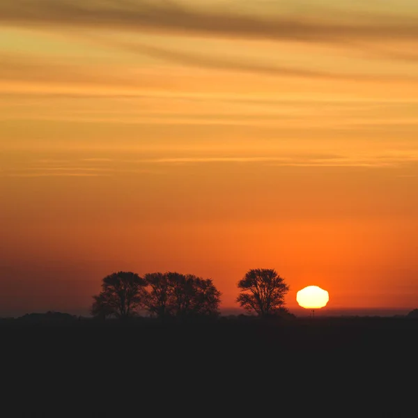 Paesaggio Rurale Tramonto Provincia Buenos Aires Argentina — Foto Stock