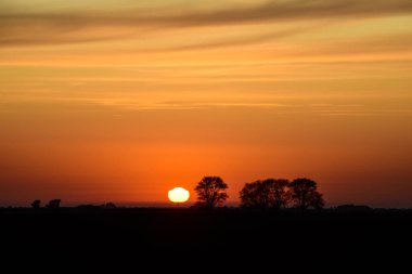 Kırsal günbatımı manzarası, Buenos Aires ili, Arjantin