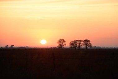 Kırsal günbatımı manzarası, Buenos Aires ili, Arjantin