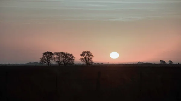 Ländliche Sonnenuntergangslandschaft Provinz Buenos Aires Argentinien — Stockfoto