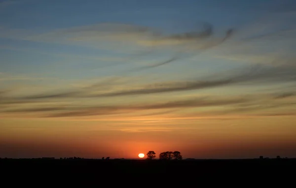 Paesaggio Rurale Tramonto Provincia Buenos Aires Argentina — Foto Stock