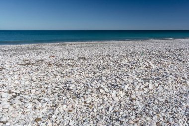 Shell Beach, San Antonio Doğu Limanı, Rio Negro, Patagonya Argen