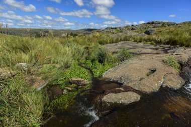 Quebrada del Condorito  National Park,Cordoba province, Argentin