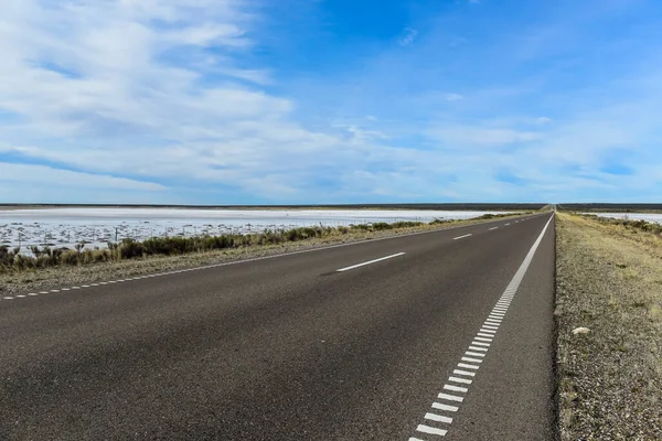 Trasa Równinie Pampas Patagonia Argentyna — Zdjęcie stockowe