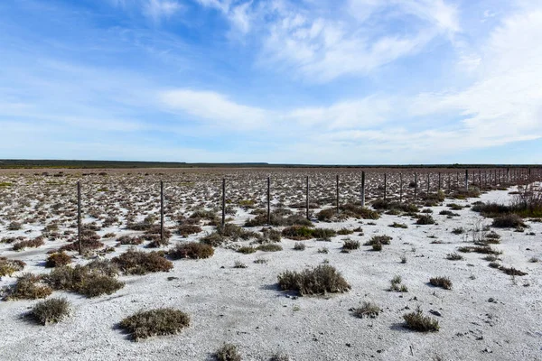 Solo Salgado Uma Lagoa Seca Sul Província Pampa Patagônia Argentina — Fotografia de Stock