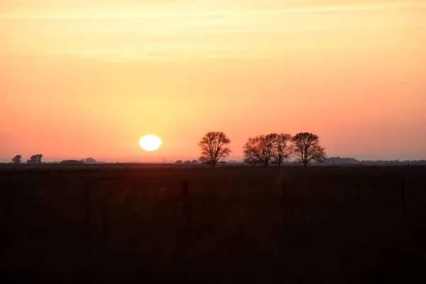 Ländliche Sonnenuntergangslandschaft Provinz Buenos Aires Argentinien — Stockfoto