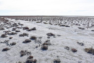 La Pampa, Patagonya, Arjantin 'in güneyindeki kuru bir lagünde tuzlu toprak..