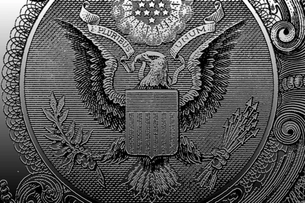 Das nationale Emblem der Vereinigten Staaten — Stockfoto