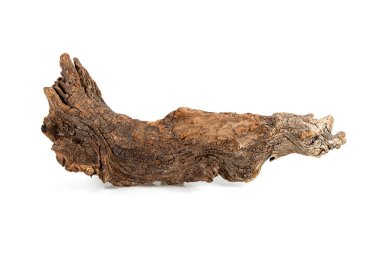 Beyaz arkaplanda izole edilmiş kuru ağaç dalları