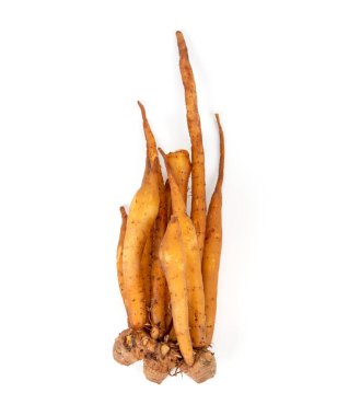 parmak kökü, beyaz arkaplanda Boesenbergia kubbesi.