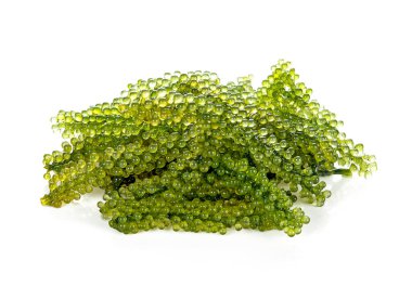 Beyaz arkaplanda deniz yosunu (yeşil havyar)