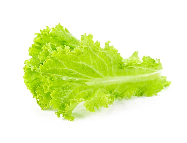 Lettuce Leaves Isolated White Background — Stock Photo, Image