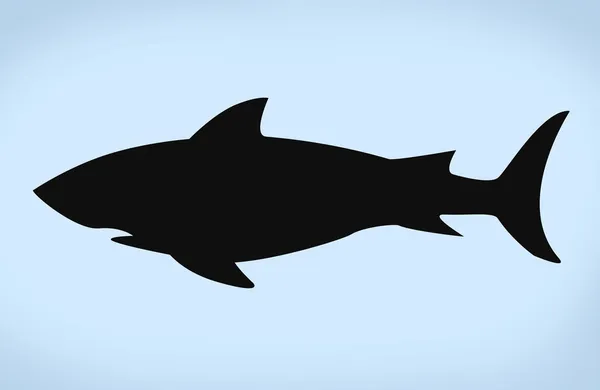Köpek balığı silluet — Stok fotoğraf