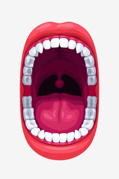 Illustration Wide Openned Human Healthy Mouth Smooth Teeth Isolated White — Vector de stock