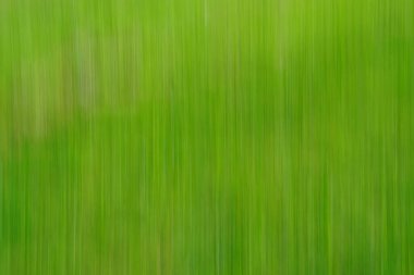 Yeşil renkli dikey çizgileri olan soyut duvar kağıdı arkaplanı