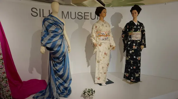 Kimono Meest Bekende Wijdverbreide Traditionele Kleding Japan Natuurlijke Zijde — Stockfoto