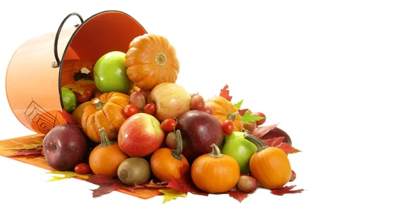 Fruitful season — Stock Photo, Image