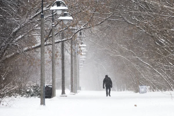 Walk in the snow — Stock Photo, Image