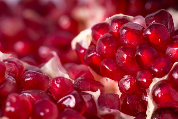 Närbild bild av granatäpple — Stockfoto