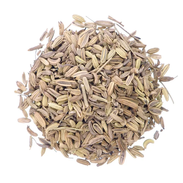 Dried fennel seeds — Stock Photo, Image